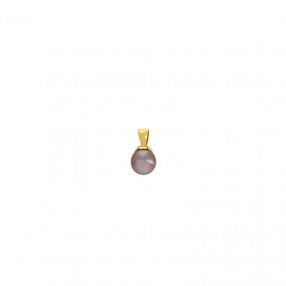 Pendentif en Or et Perle de...