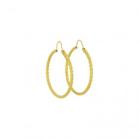 Boucles d'oreilles créoles...