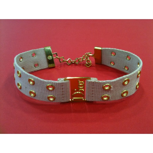 Collier Dior Collier de chien 