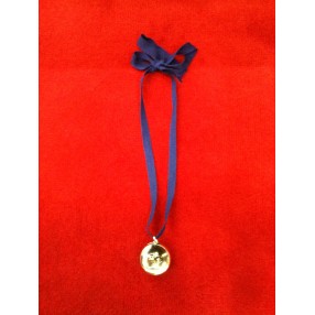 Pendentif Baccarat en argent et poudre de diamant