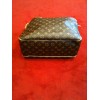 Sac Louis Vuitton Delightful PM en toile monogram