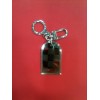 Porte clés Louis Vuitton graphite en acier