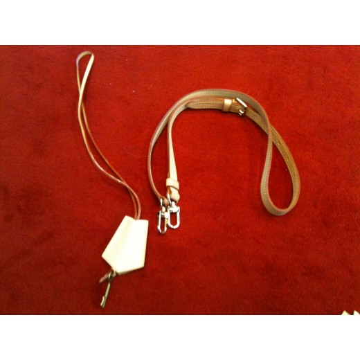 Vanity Louis Vuitton Nice en toile monogram