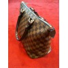 Sac Louis Vuitton Saleya en toile damier