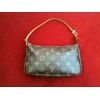 Pochette Louis Vuitton Accessoires en toile monogram