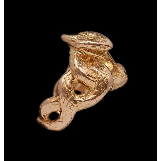 Bague Homme Serpent 