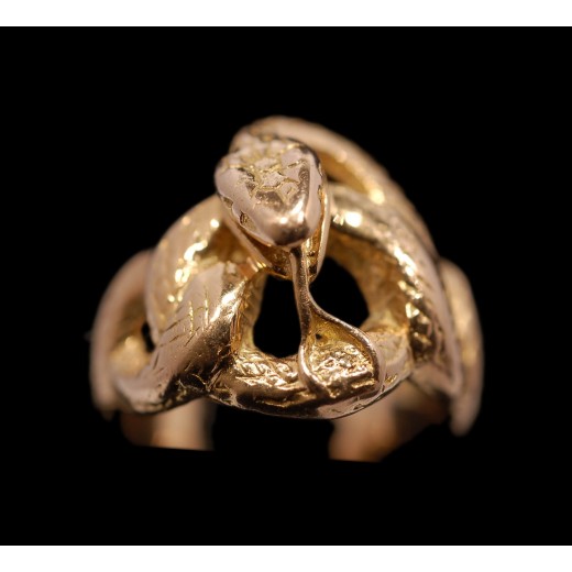 Bague Homme Serpent 