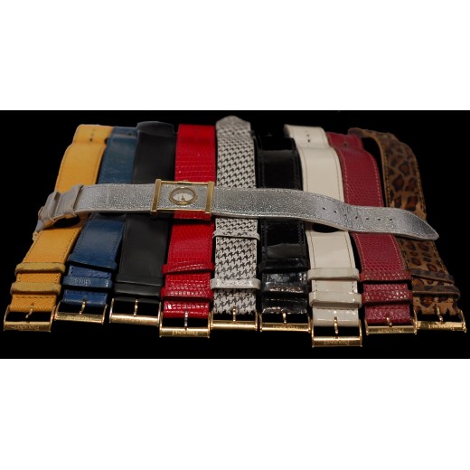 Montre Emile Pequignet Bracelets Interchangeables