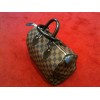 Sac Louis Vuitton Speedy 25 en toile damier ébène