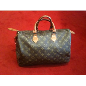 Sac Lois Vuitton Speedy