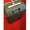 Valise Louis Vuitton Pegasse 65