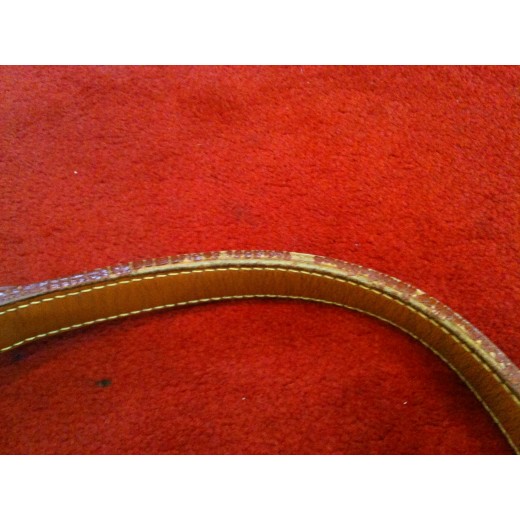 Sac Louis Vuitton Noé en cuir épi brique