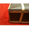 Sac Chien Louis Vuitton