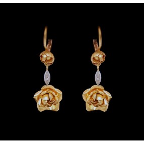 Boucles d'Oreilles Anciennes