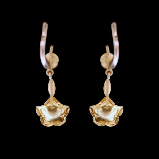 Boucles d'Oreilles Anciennes
