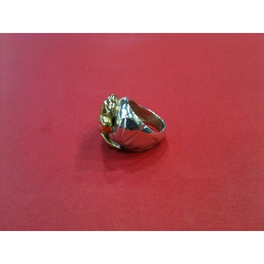 Bague Marc Deloche en  argent et or