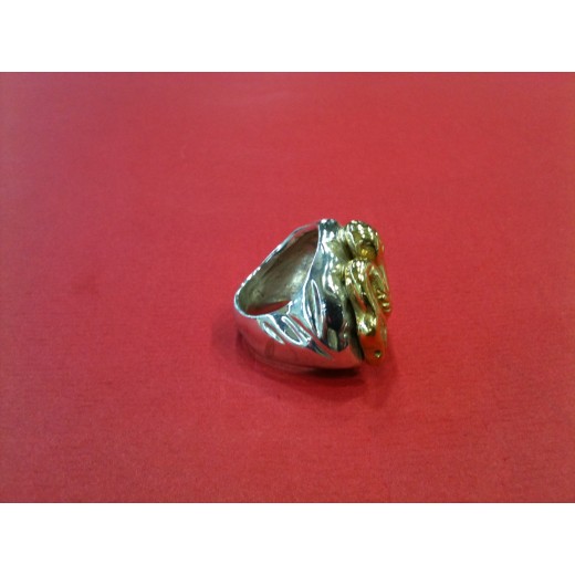 Bague Marc Deloche en  argent et or