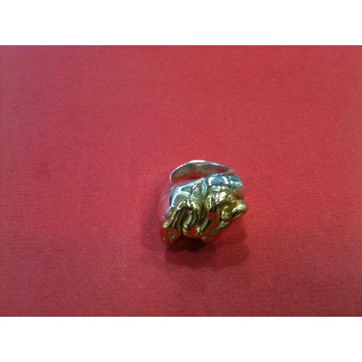 Bague Marc Deloche en  argent et or