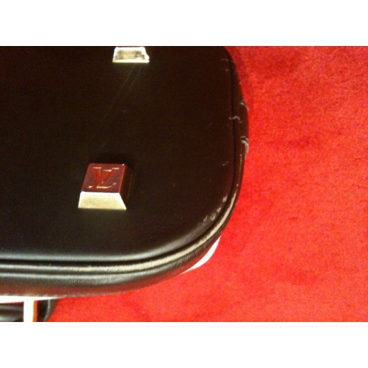 Sac Louis Vuitton " Alma Long "