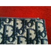 Pochette Christian Dior Vintage Logo bleu