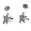 Boucles d'oreilles Etoile pavage diamants en or blanc