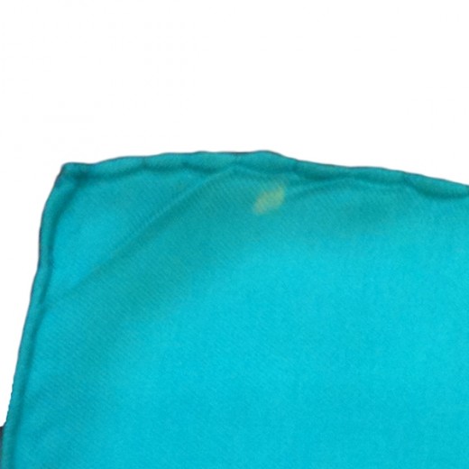 Foulard Carré HERMÈS TALLY-HO En Soie 100% - Vintage - Couleur Verte - Occasion De Luxe