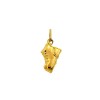 Pendentif chaussure en or jaune