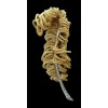 Broche Feuille en or et diamants