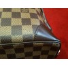 Trousse Louis Vuitton " Vaslav washbag "