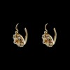 Boucles d'oreilles anciennes en or