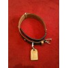 Collier de Chien Louis Vuitton " Baxter GM "