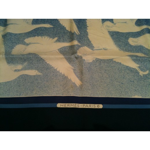 Carré Hermes " Oiseaux migrateurs "