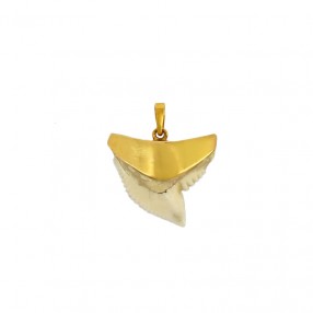 Pendentif Dent de Requin en...