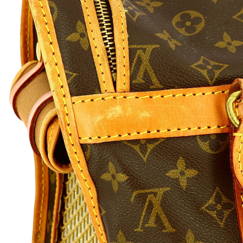 Sac Chien Louis Vuitton - LuxeForYou