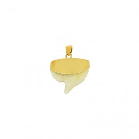 Pendentif Ancien en Or et...