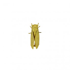 Broche Ancienne Cigale en Or