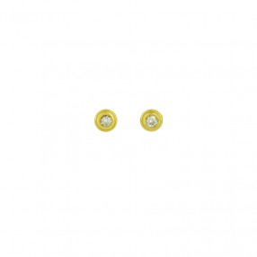 Boucles d'Oreilles Puces...