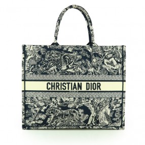 Sac Dior Cabas Book Tote