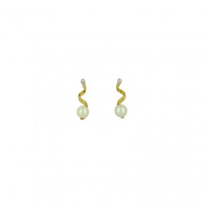 Boucles d'Oreilles...