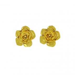 Boucles d'Oreilles Clips...